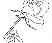 Coloriage Une Fleur pour nos chères Mères