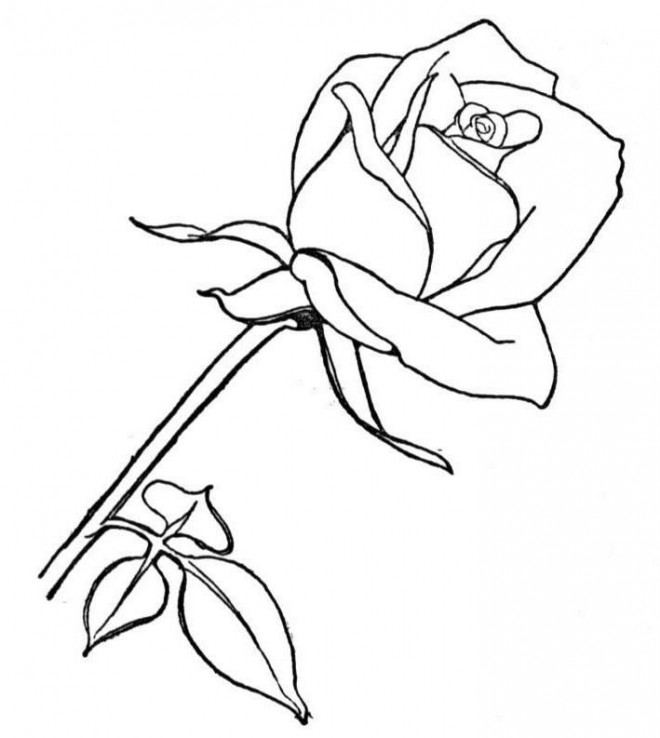 Coloriage Une Fleur Pour Nos Chères Mères