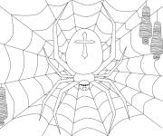 Coloriage Araign&eacute;e et toile pour la f&ecirc;te hant&eacute;e