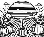 Coloriage Champ de citrouilles pour Halloween
