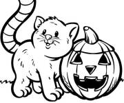 Coloriage Chat et citrouille pour la fete
