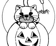 Coloriage Chat sur citrouille de Halloween