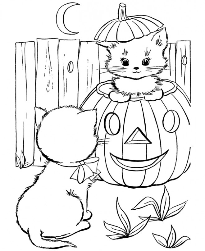 Coloriage Les Chats Et Citrouille Pendant L Halloween