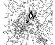 Coloriage Spiderman sur toile d'araign&eacute;e pour Halloween