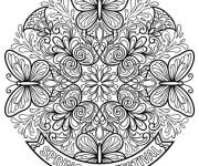 Coloriage Mandala Papillon de f&ecirc;te Holi
