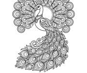 Coloriage Paon Holi