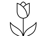 Coloriage et dessins gratuit Fleur Tulipe et joyeuse f&ecirc;te des femmes à imprimer