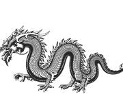 Coloriage Dragon chinois &agrave; personnaliser