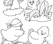 Coloriage Les poussins s'amusent dans le jardin