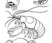 Coloriage Poisson d'avril cuirass&eacute;s