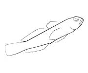 Coloriage Poisson d'avril facile au crayon