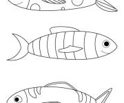 Coloriage Trois Poissons de 1er Avril