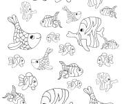 Coloriage Vari&eacute;t&eacute; de poisson d'Avril
