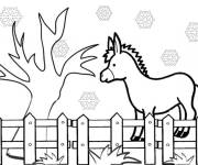 Coloriage Ane Saint Nicolas pour enfants