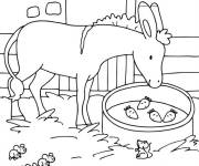 Coloriage La mule de Saint Nicolas