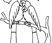 Coloriage Couple d'Oiseaux en amour