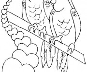 Coloriage Couple Perroquets St-Valentin