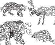 Coloriage Animaux sauvages adultes