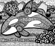 Coloriage Baleine adulte