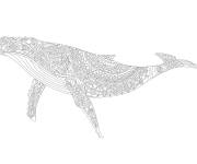 Coloriage Baleine adulte anti-stress