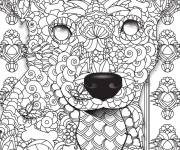 Coloriage Beagle adulte