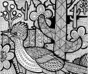 Coloriage Beau oiseau adulte