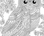Coloriage Belle chouette avec des griffes