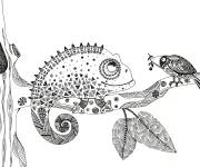 Coloriage Cam&eacute;l&eacute;on et oiseau adulte