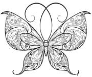 Coloriage Charmante papillon adulte