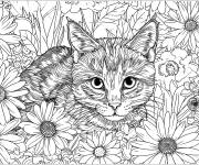 Coloriage Chat au regard per&ccedil;ant adulte
