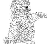 Coloriage et dessins gratuit Chaton mignon pour adulte à imprimer