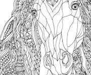 Coloriage Cheval adulte vue de face