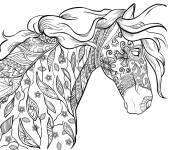 Coloriage Cheval magique &agrave; motif adulte