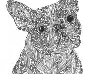 Coloriage Chien adulte avec des griffes complexe