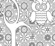 Coloriage Chouette adulte