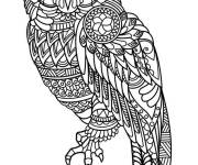 Coloriage et dessins gratuit Chouette adulte difficile à imprimer