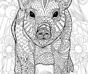 Coloriage Cochon adulte complexe