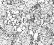 Coloriage Collection de poulet adulte