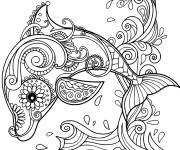 Coloriage Dauphin adulte