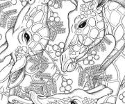 Coloriage Des t&ecirc;tes de girafes adulte