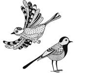Coloriage et dessins gratuit Deux oiseaux adorable adulte à imprimer