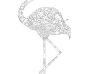 Coloriage Flamant rose adulte