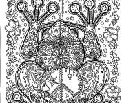 Coloriage Grenouille adulte