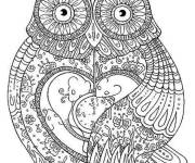 Coloriage Hibou adulte &agrave; impri