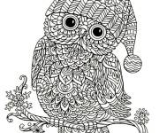 Coloriage Hibou portant un bonnet adulte