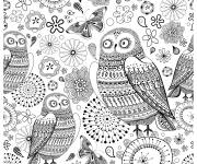 Coloriage Hiboux et des papillon adulte