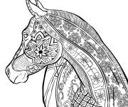 Coloriage Illustration cheval adulte