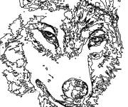 Coloriage et dessins gratuit loup gris adulte à imprimer