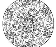 Coloriage Mandala perroquet adulte