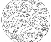 Coloriage Mandala tortue adulte